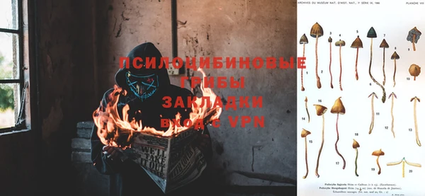 сатива Дмитров