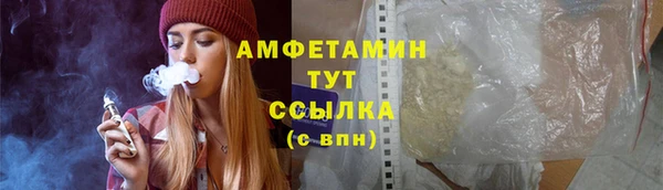 гашик Дмитриев
