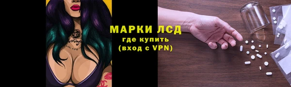 гашик Дмитриев
