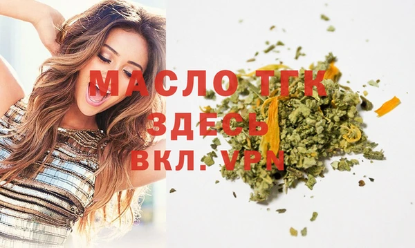 гашик Дмитровск