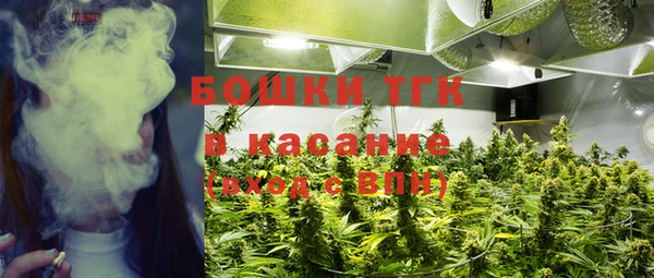 гашик Дмитровск