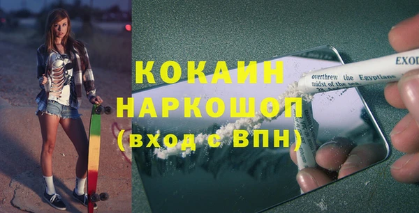 гашик Дмитриев