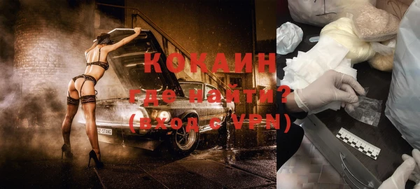 гашик Дмитровск