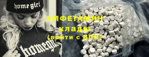 гашик Дмитровск