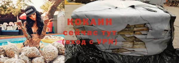 гашик Дмитриев