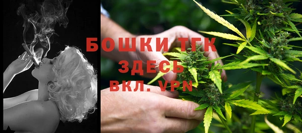 гашик Дмитровск