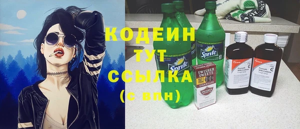 гашик Дмитровск