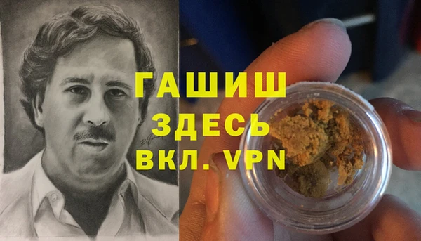 гашик Дмитровск