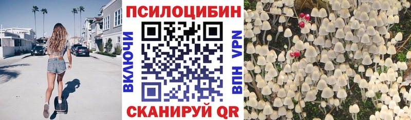 Купить  Сим  Галлюциногенные грибы Magic Shrooms 